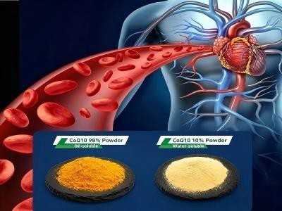 कोएंजाइम Q10 कैसे चुनें?